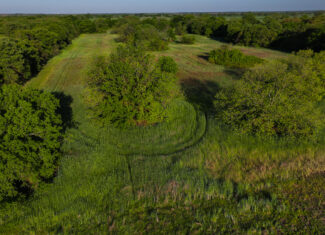 Prime North Texas Hill Country Land in Montague County, Texas