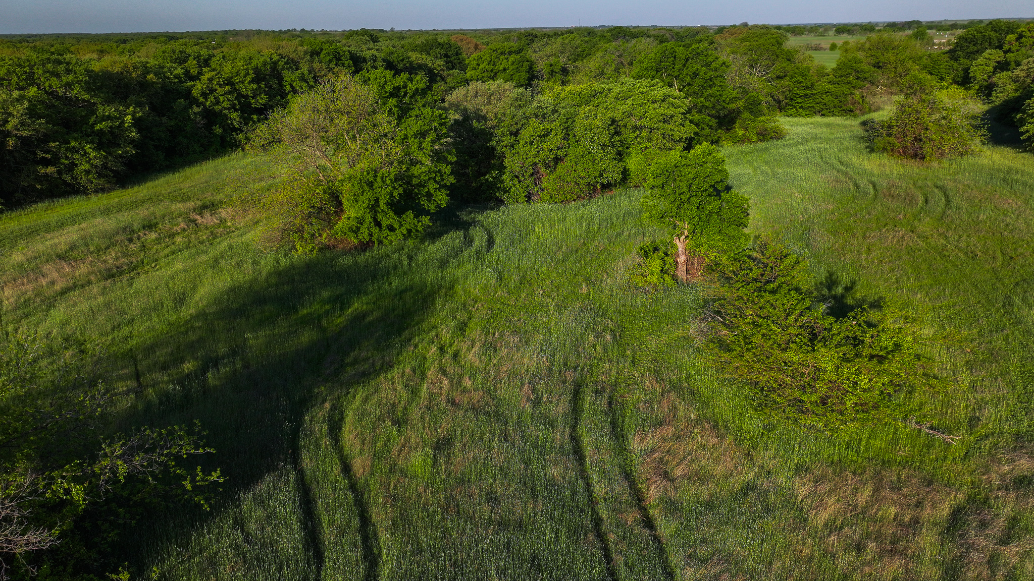 Prime North Texas Hill Country Land in Montague County, Texas