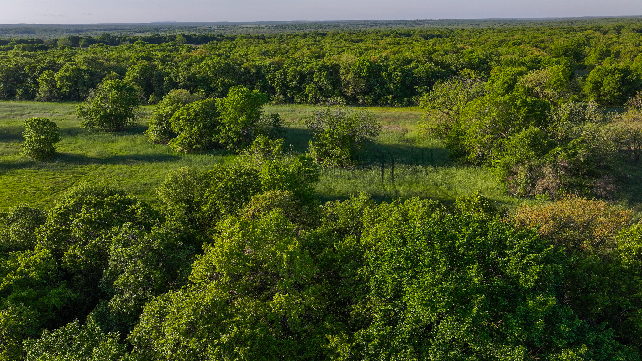 Prime North Texas Hill Country Land in Montague County, Texas