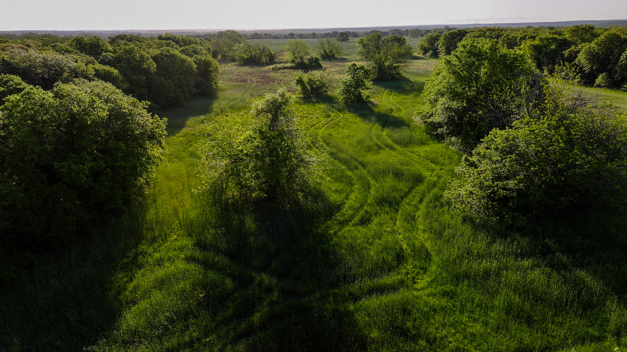 Prime North Texas Hill Country Land in Montague County, Texas