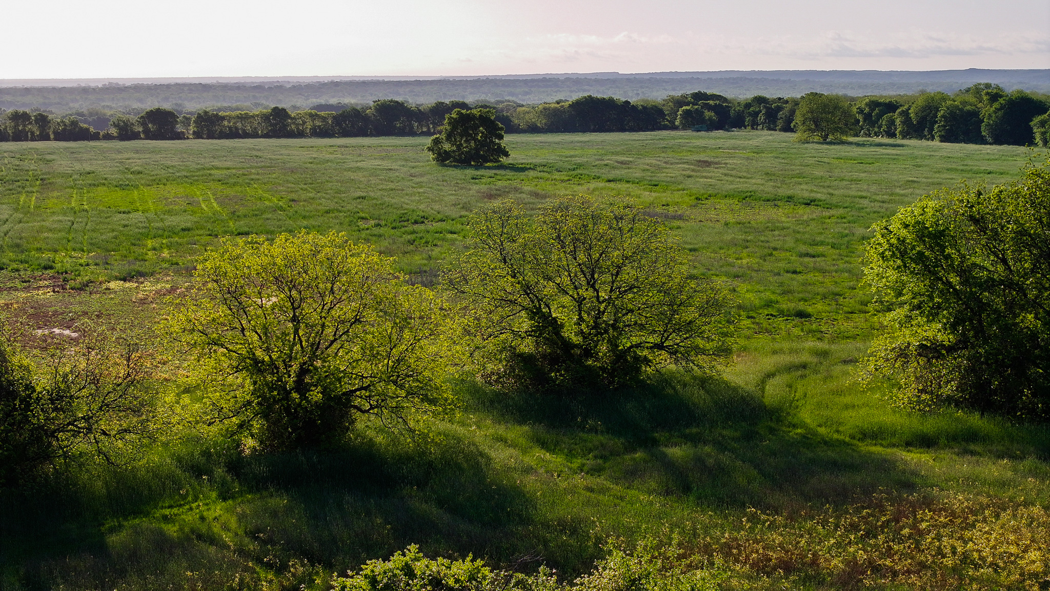 Prime North Texas Hill Country Land in Montague County, Texas