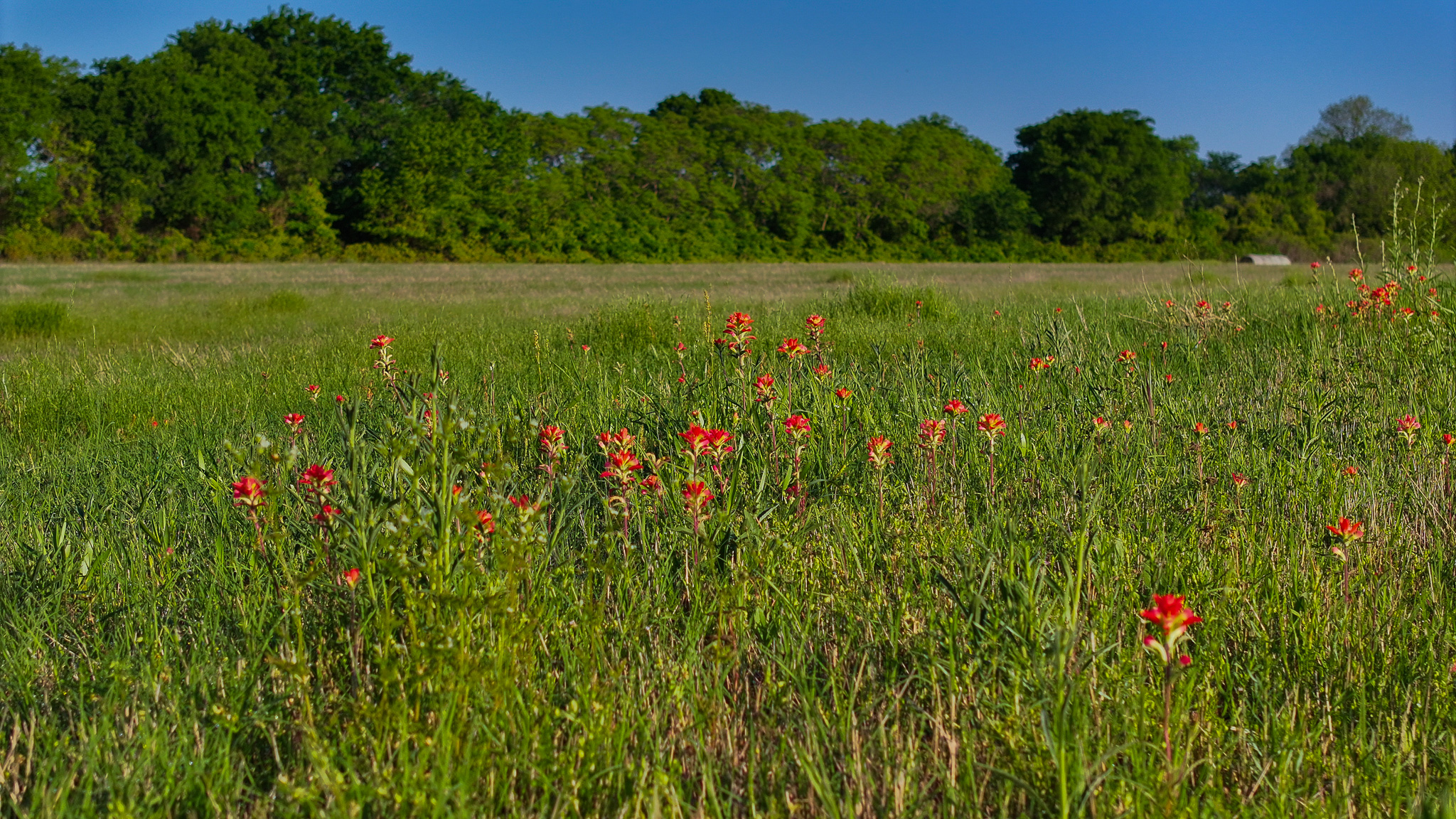 Prime North Texas Hill Country Land in Montague County, Texas