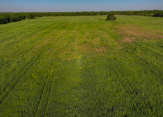 Prime North Texas Hill Country Land in Montague County, Texas