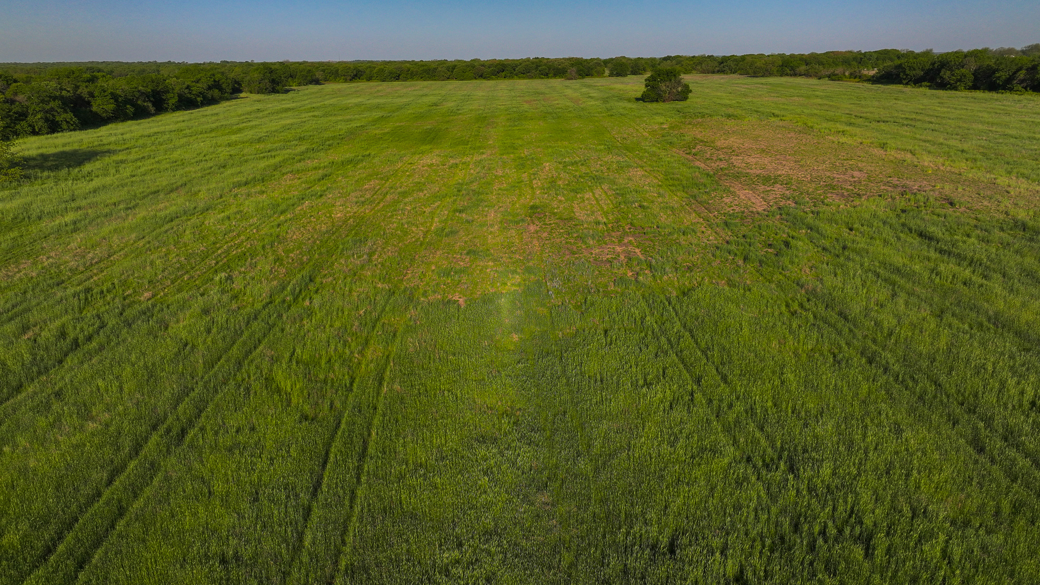 Prime North Texas Hill Country Land in Montague County, Texas