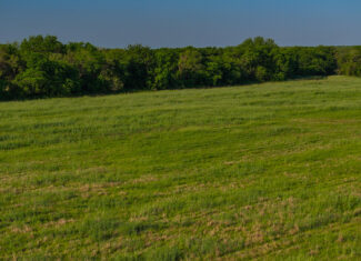 Prime North Texas Hill Country Land in Montague County, Texas