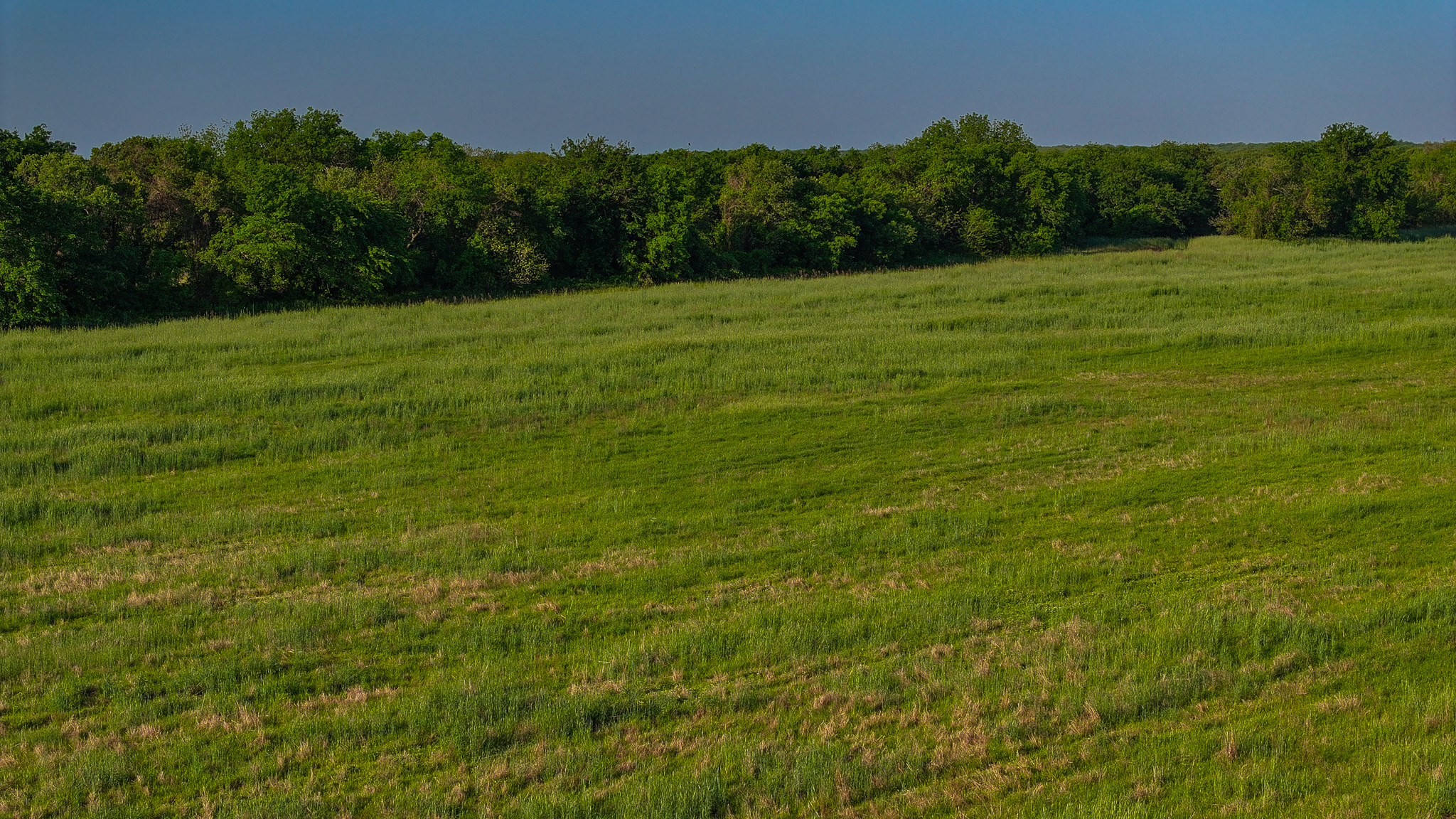 Prime North Texas Hill Country Land in Montague County, Texas