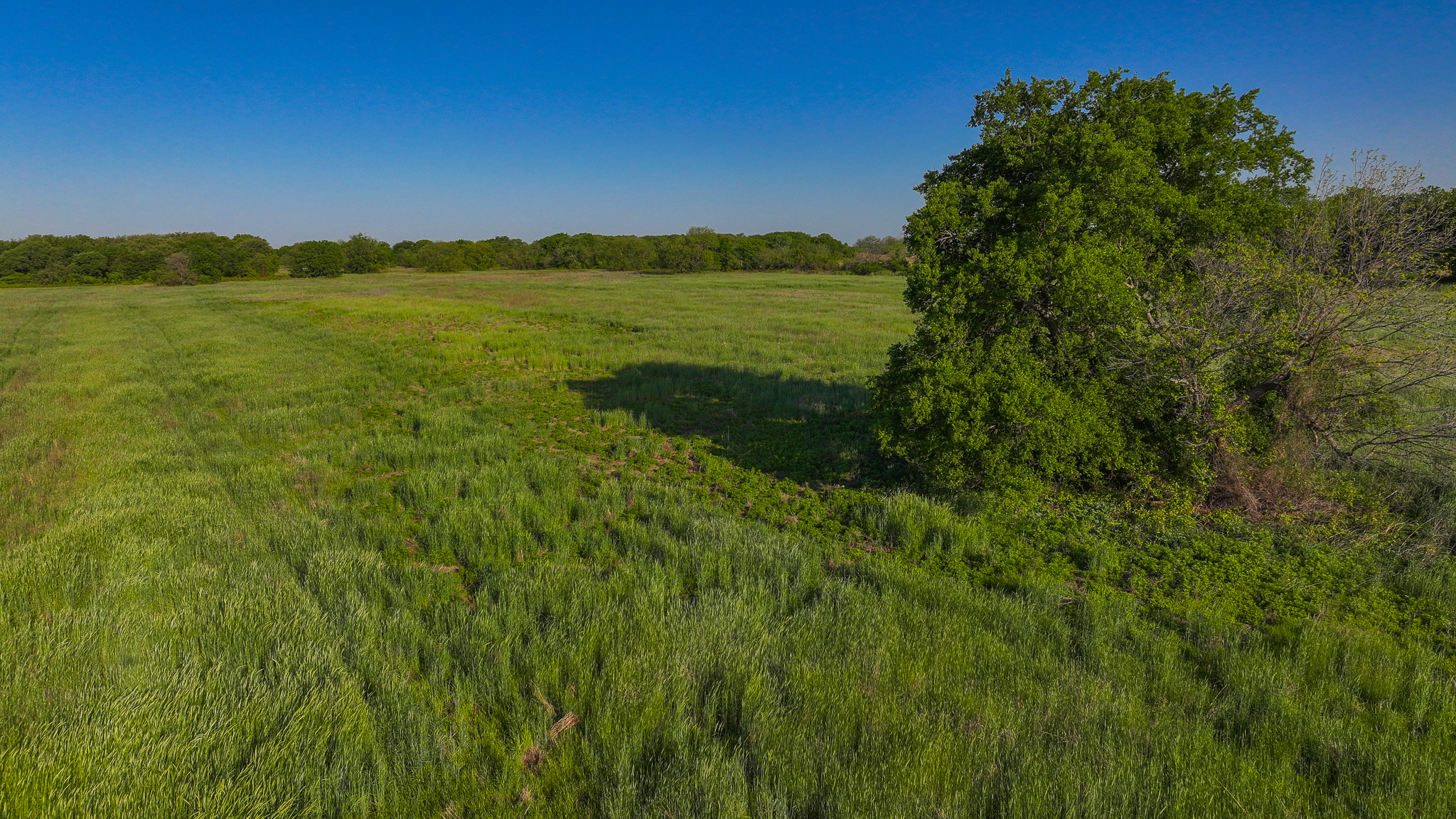 Prime North Texas Hill Country Land in Montague County, Texas