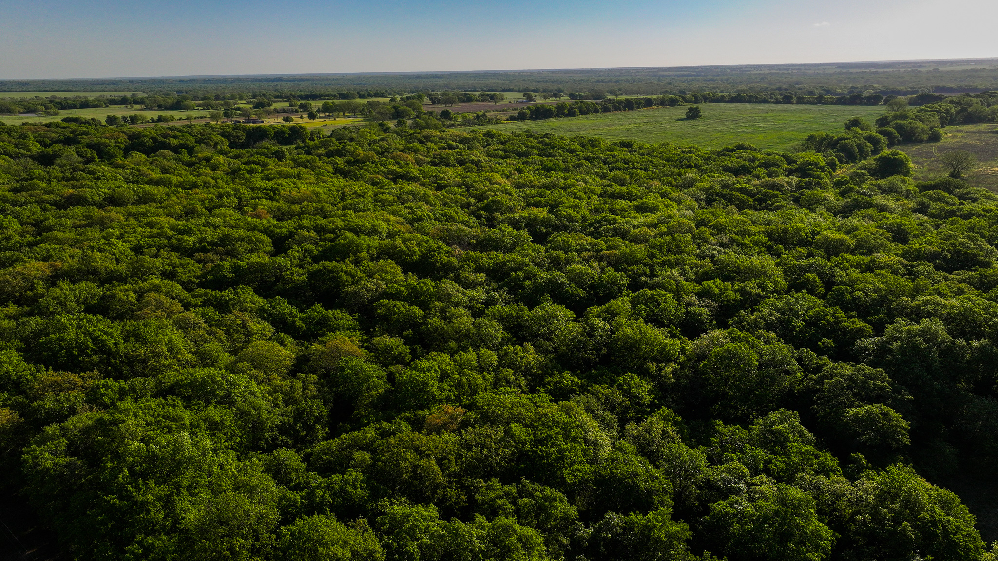 Prime North Texas Hill Country Land in Montague County, Texas