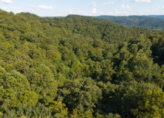 Appalachian Wilderness for Sale at Auction Hancock County TN