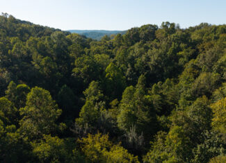Appalachian Wilderness for Sale at Auction Hancock County TN