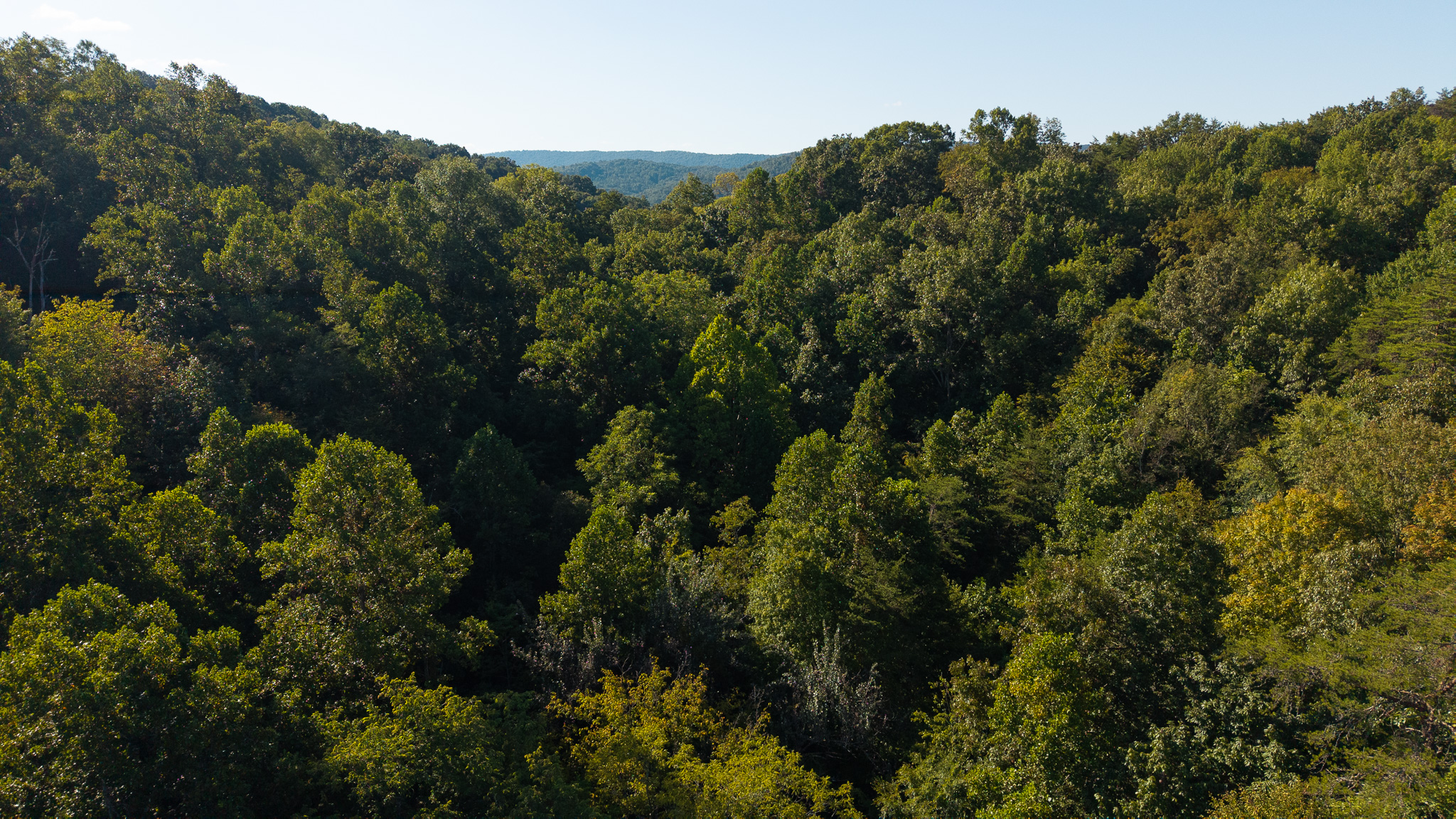 Appalachian Wilderness for Sale at Auction Hancock County TN