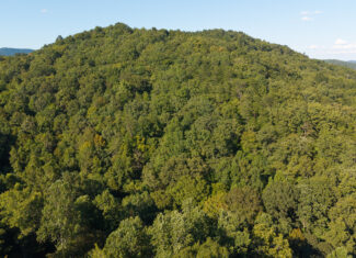 Appalachian Wilderness for Sale at Auction Hancock County TN