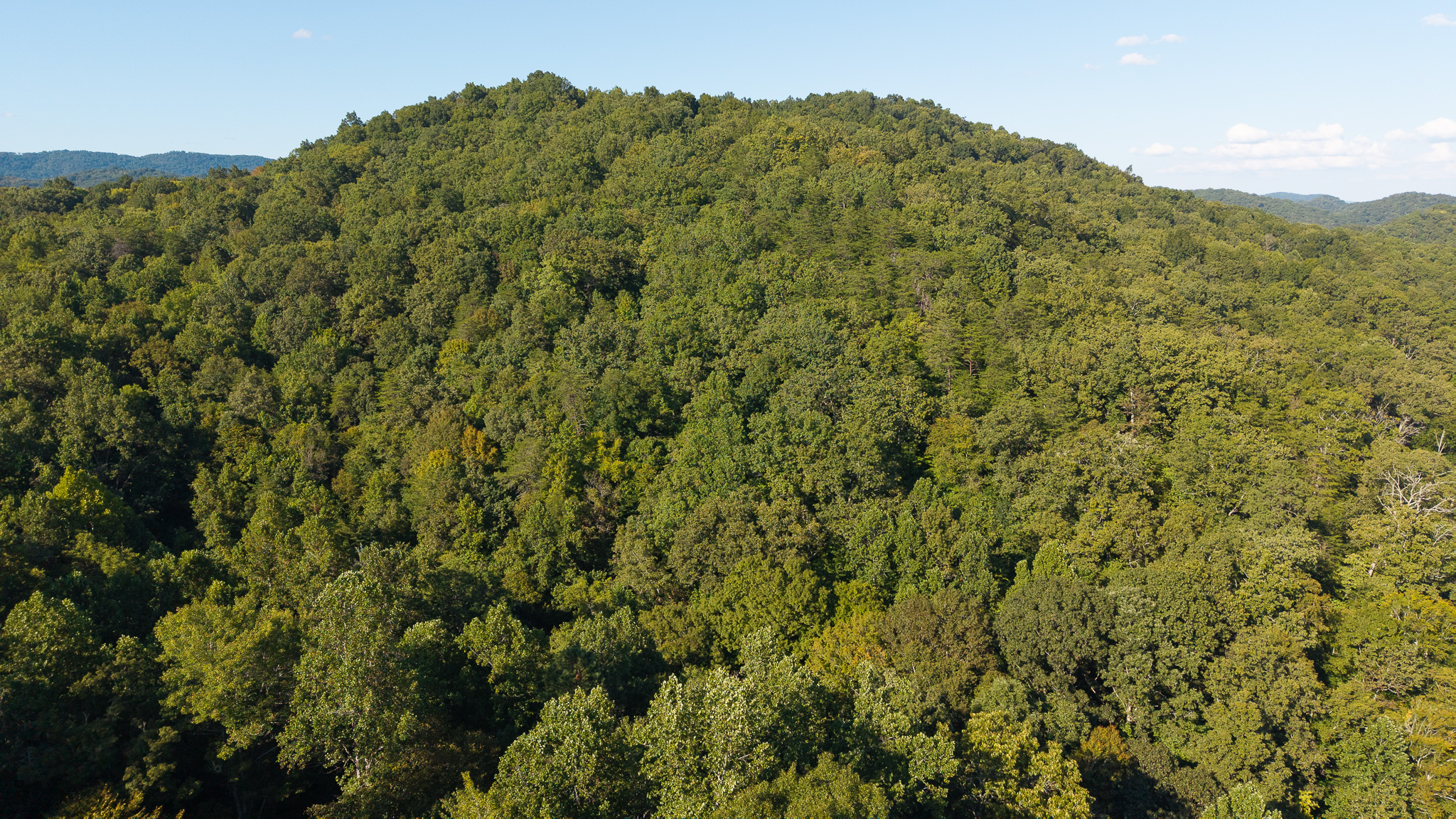Appalachian Wilderness for Sale at Auction Hancock County TN