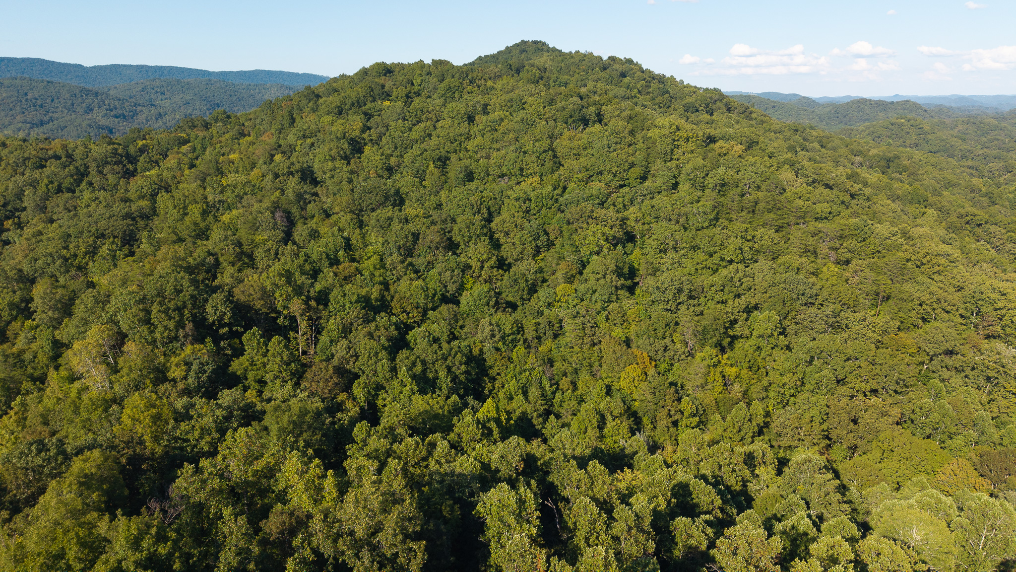 Appalachian Wilderness for Sale at Auction Hancock County TN