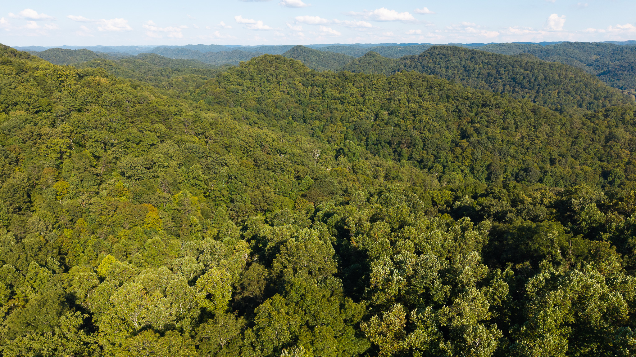 Appalachian Wilderness for Sale at Auction Hancock County TN