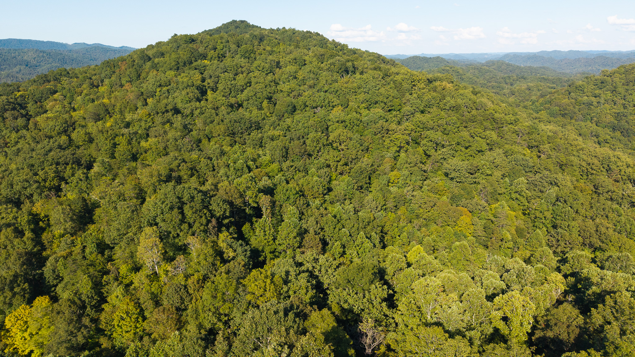 Appalachian Wilderness for Sale at Auction Hancock County TN