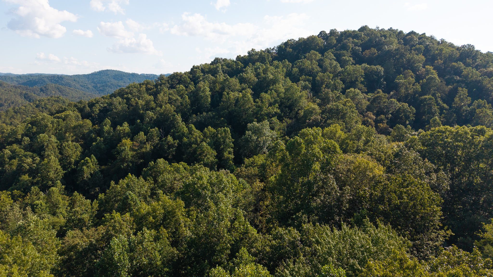 Appalachian Wilderness for Sale at Auction Hancock County TN