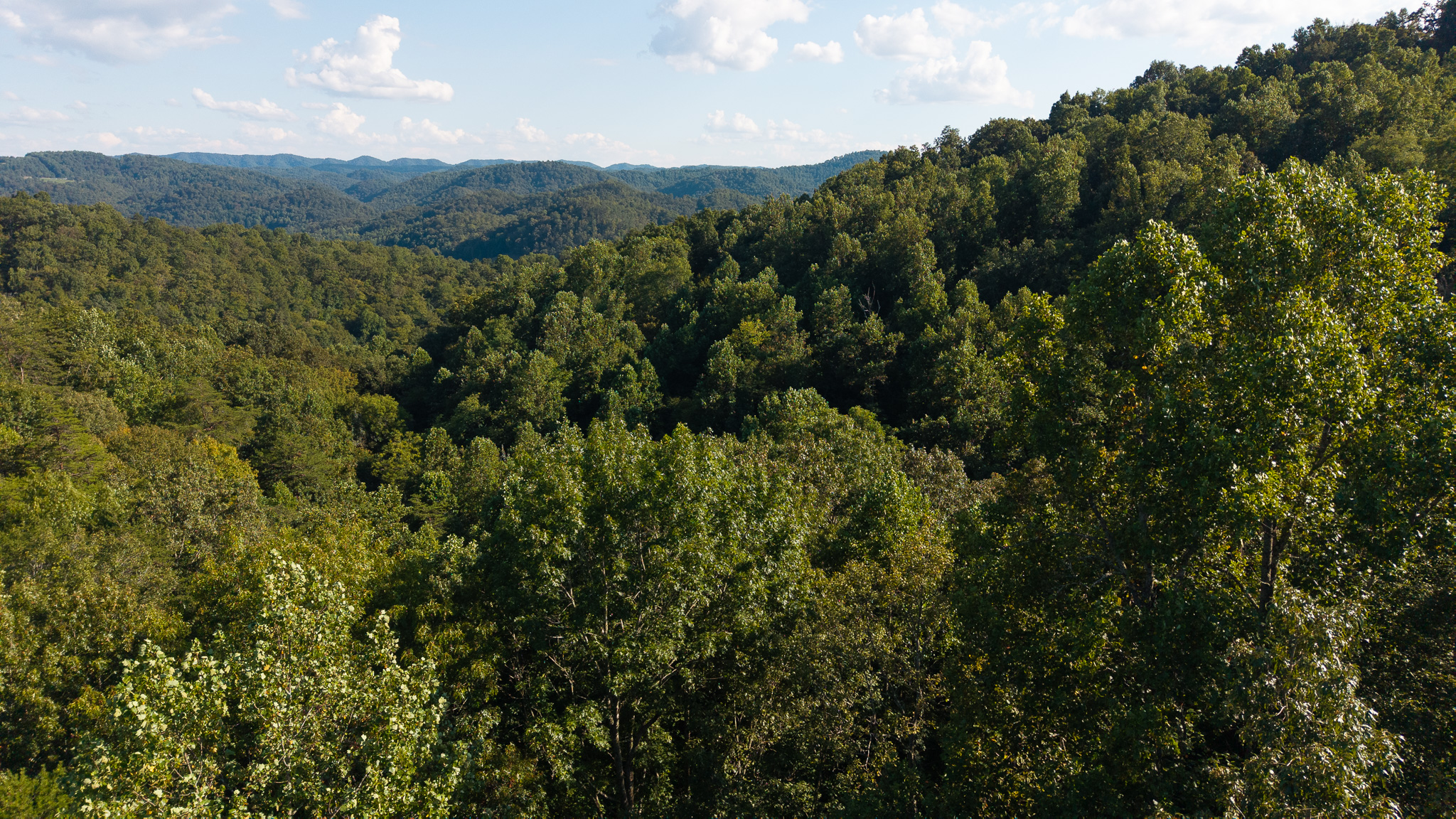 Appalachian Wilderness for Sale at Auction Hancock County TN