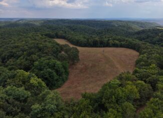 HUNTING AND RECREATIONAL LAND FOR SALE IN OZARK MOUNTAINS