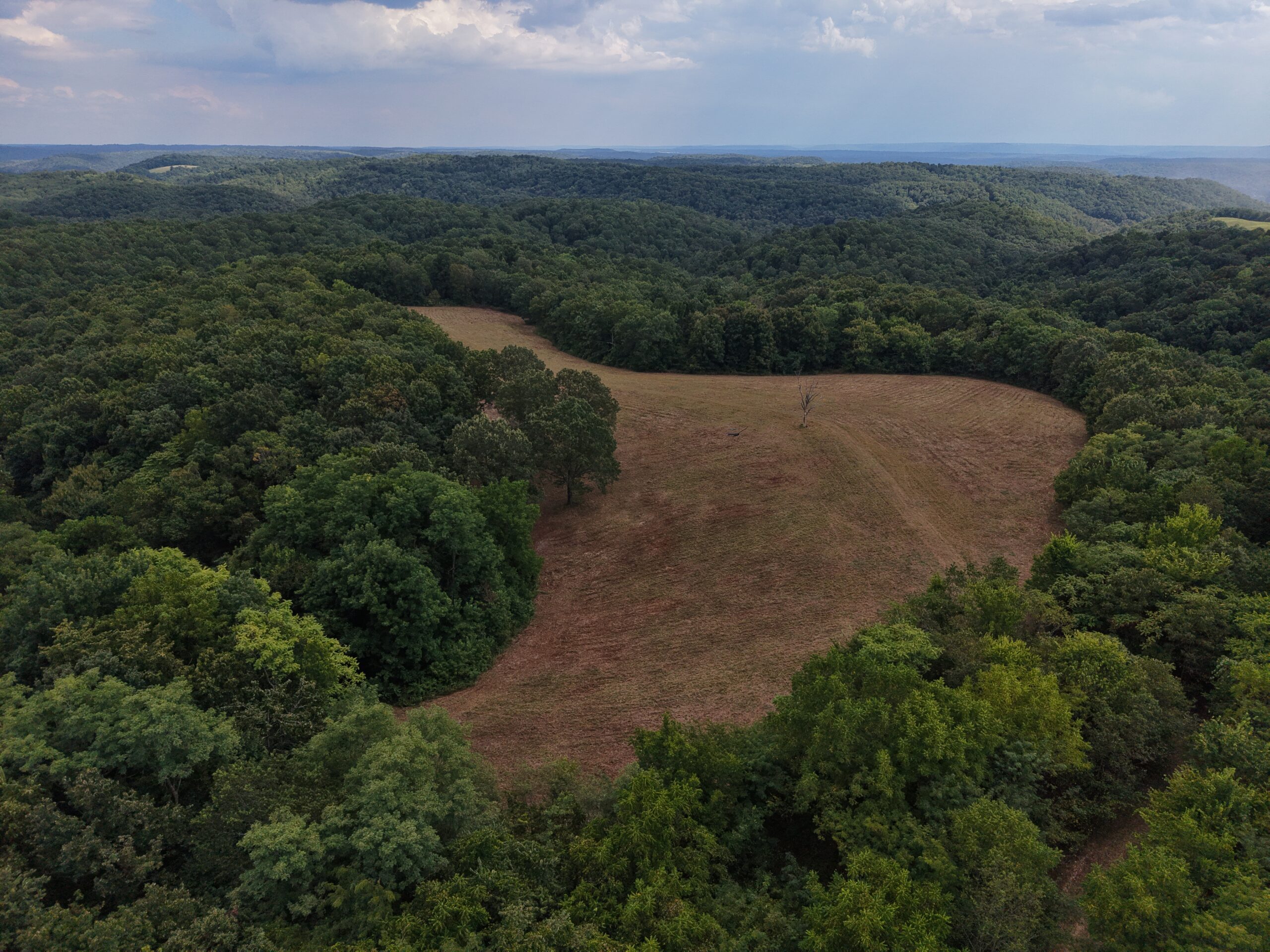 HUNTING AND RECREATIONAL LAND FOR SALE IN OZARK MOUNTAINS
