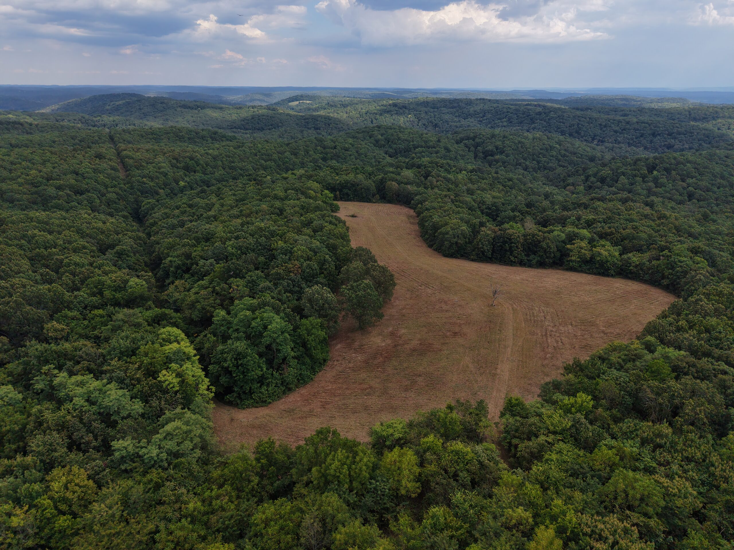 HUNTING AND RECREATIONAL LAND FOR SALE IN OZARK MOUNTAINS