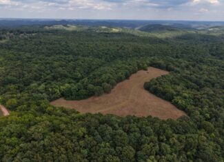 HUNTING AND RECREATIONAL LAND FOR SALE IN OZARK MOUNTAINS