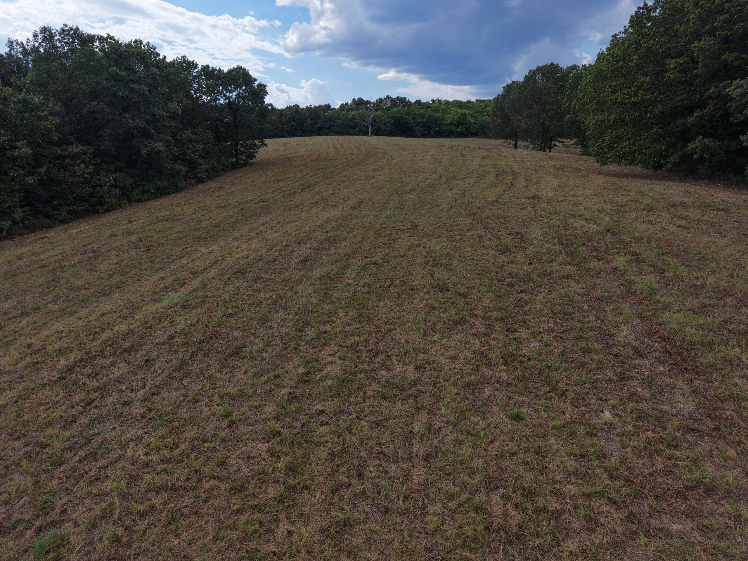 HUNTING AND RECREATIONAL LAND FOR SALE IN OZARK MOUNTAINS