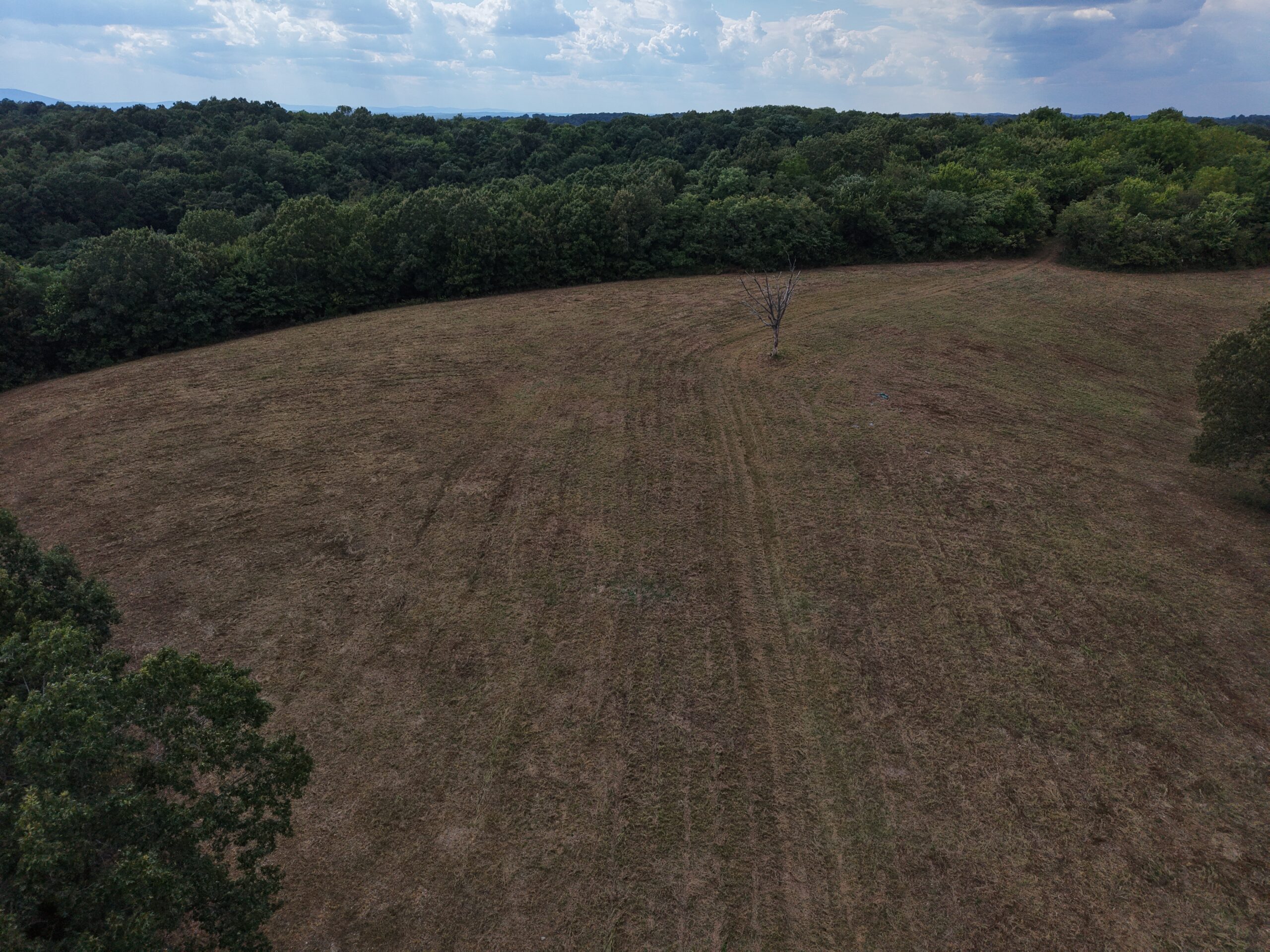 HUNTING AND RECREATIONAL LAND FOR SALE IN OZARK MOUNTAINS