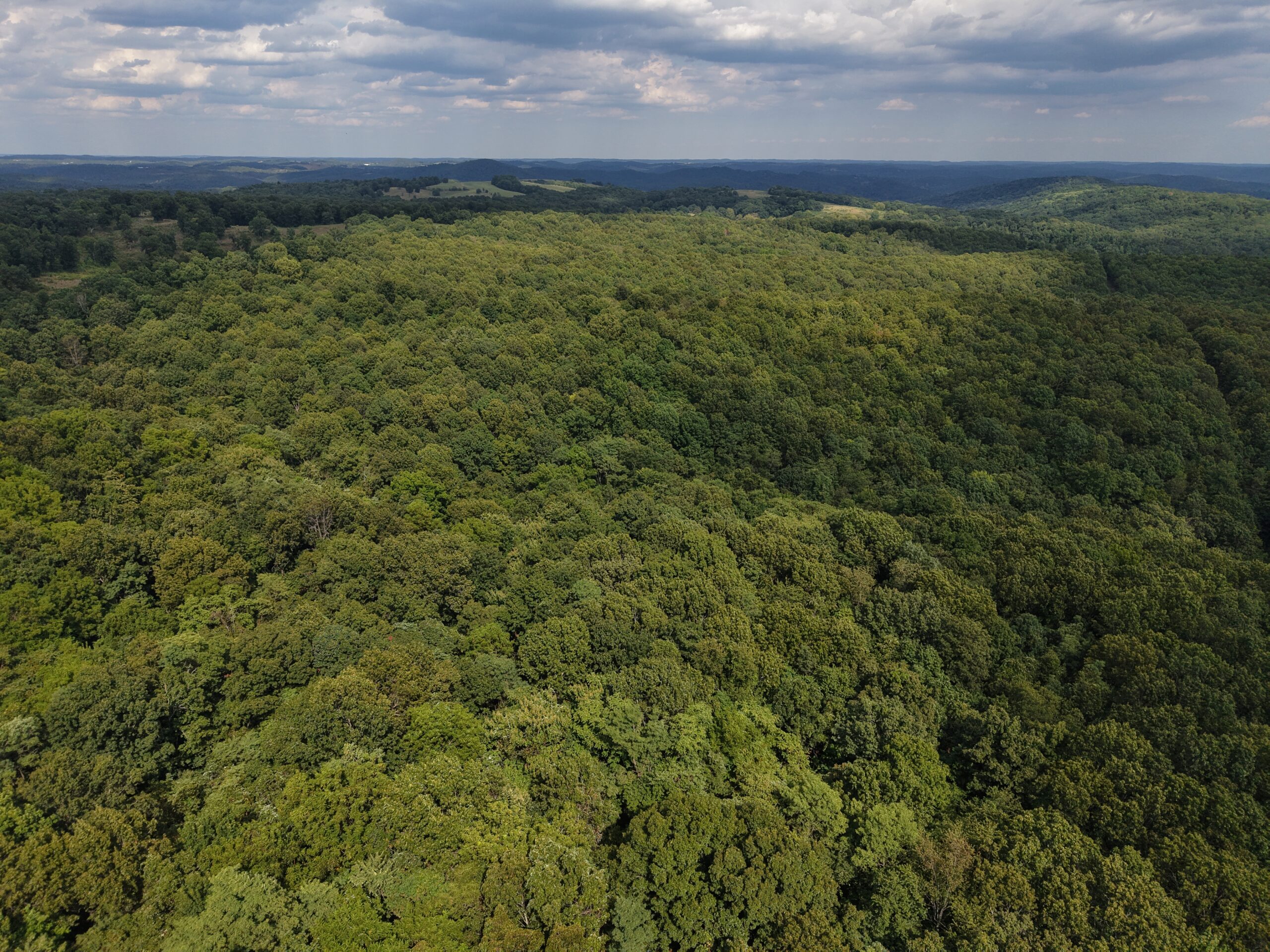 HUNTING AND RECREATIONAL LAND FOR SALE IN OZARK MOUNTAINS