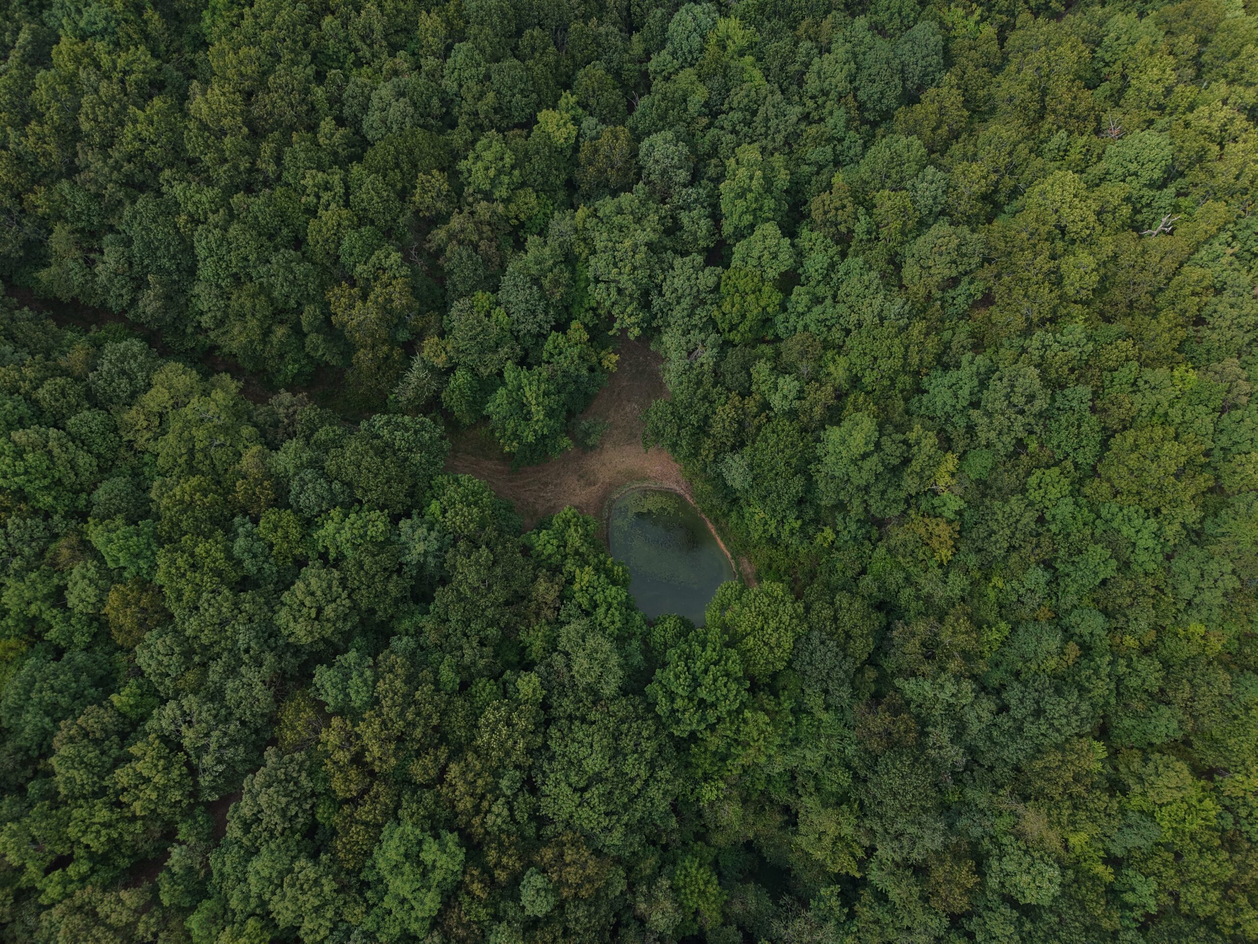 HUNTING AND RECREATIONAL LAND FOR SALE IN OZARK MOUNTAINS