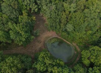 HUNTING AND RECREATIONAL LAND FOR SALE IN OZARK MOUNTAINS