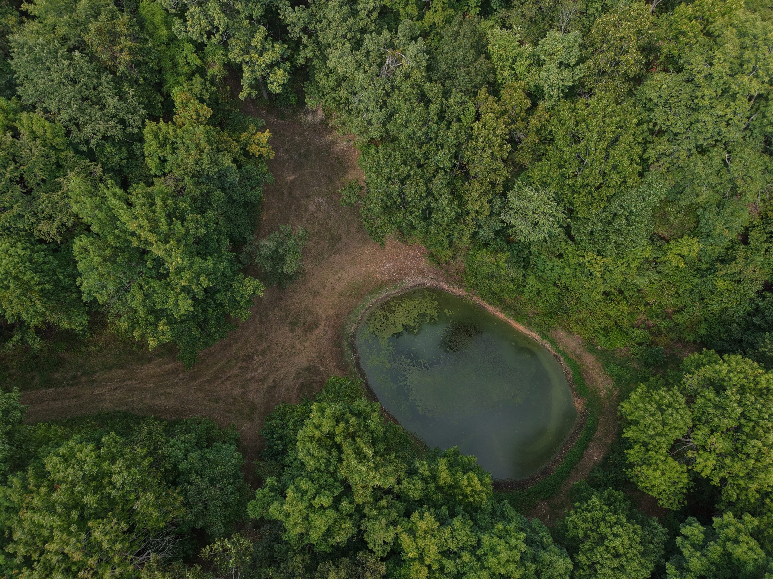 HUNTING AND RECREATIONAL LAND FOR SALE IN OZARK MOUNTAINS
