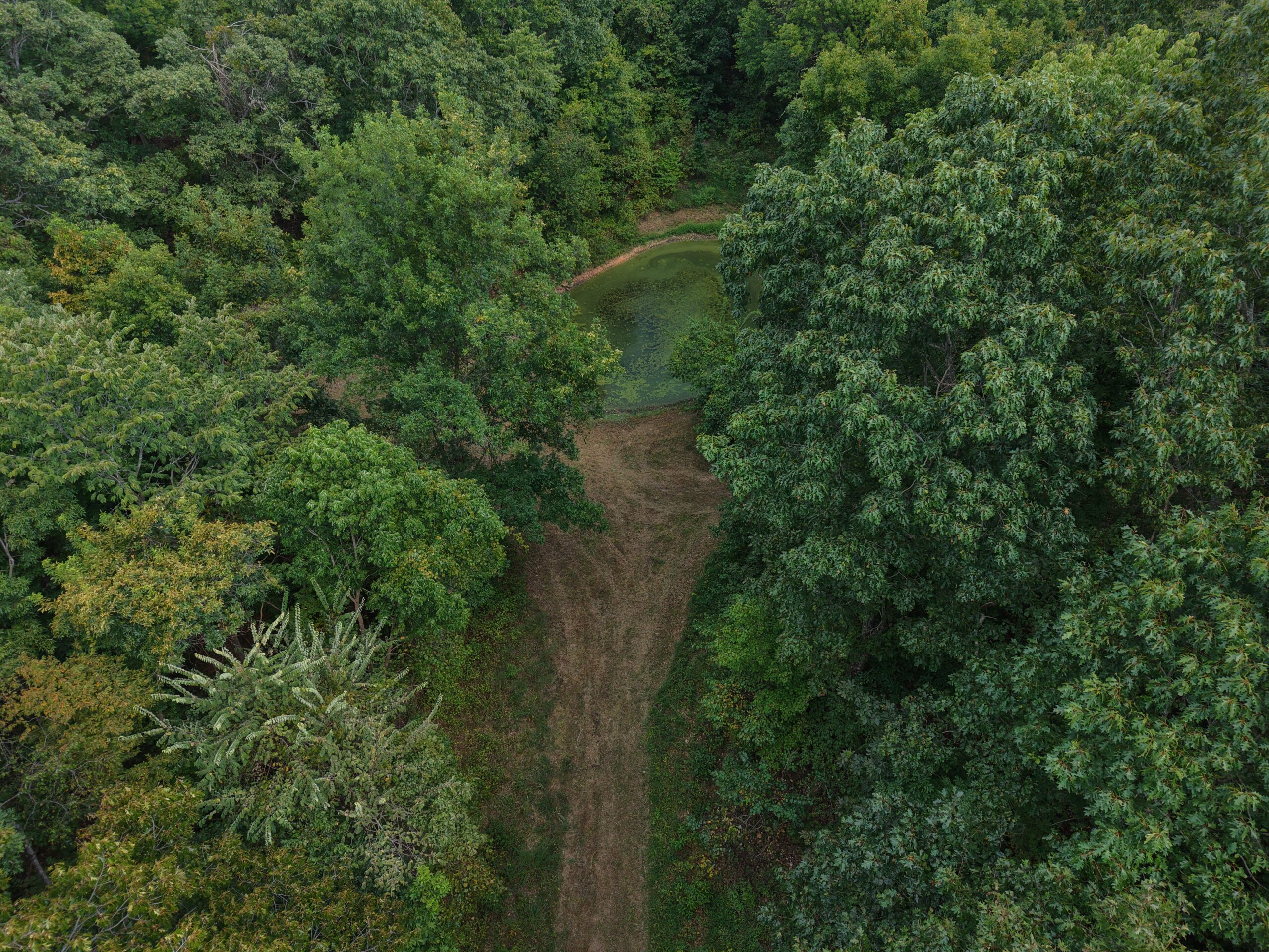HUNTING AND RECREATIONAL LAND FOR SALE IN OZARK MOUNTAINS