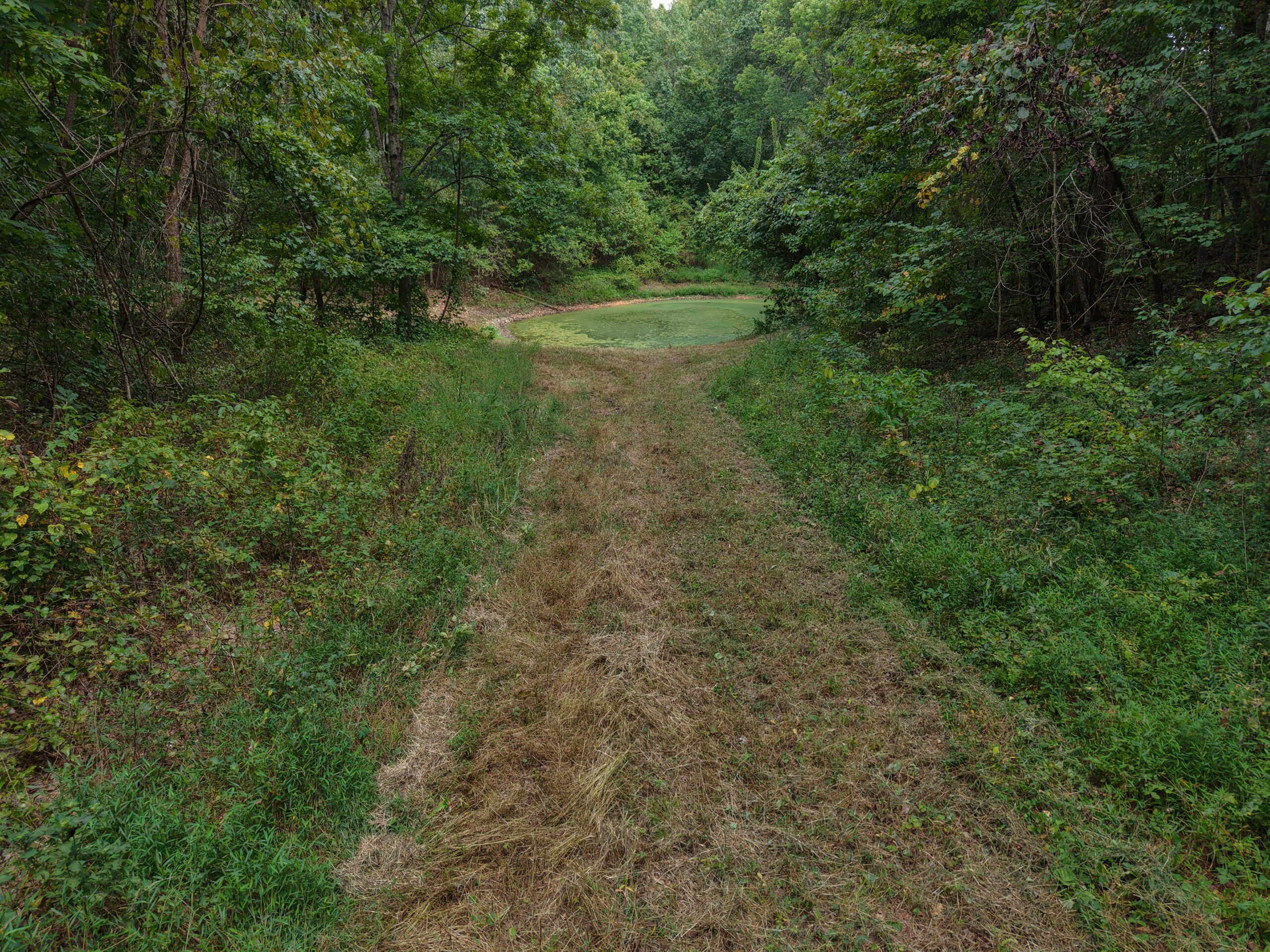 HUNTING AND RECREATIONAL LAND FOR SALE IN OZARK MOUNTAINS