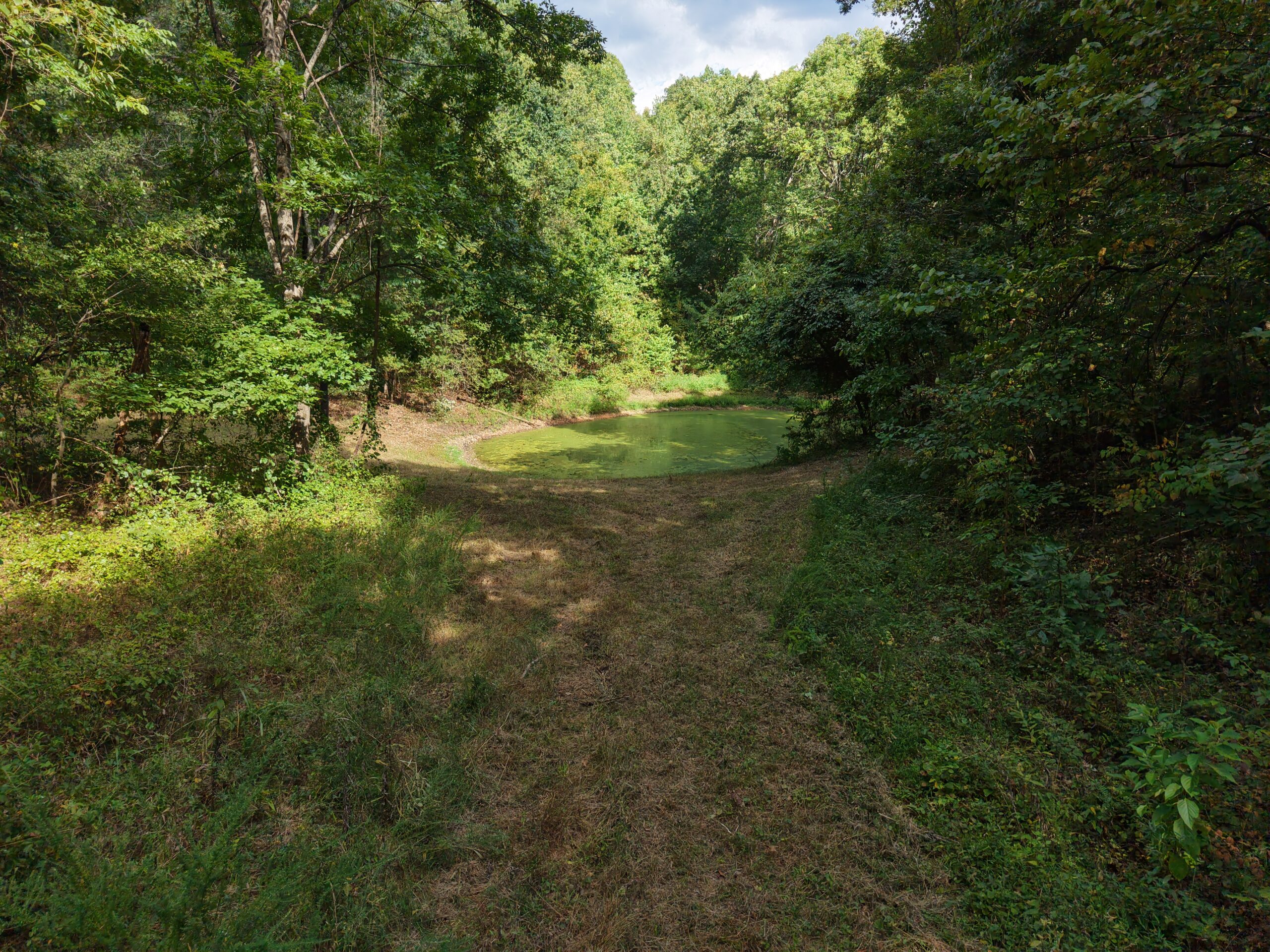 HUNTING AND RECREATIONAL LAND FOR SALE IN OZARK MOUNTAINS