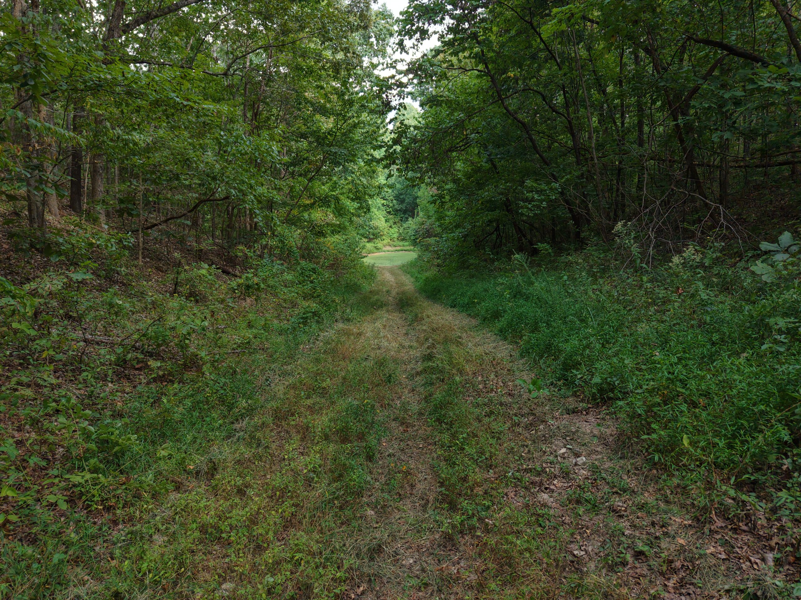 HUNTING AND RECREATIONAL LAND FOR SALE IN OZARK MOUNTAINS