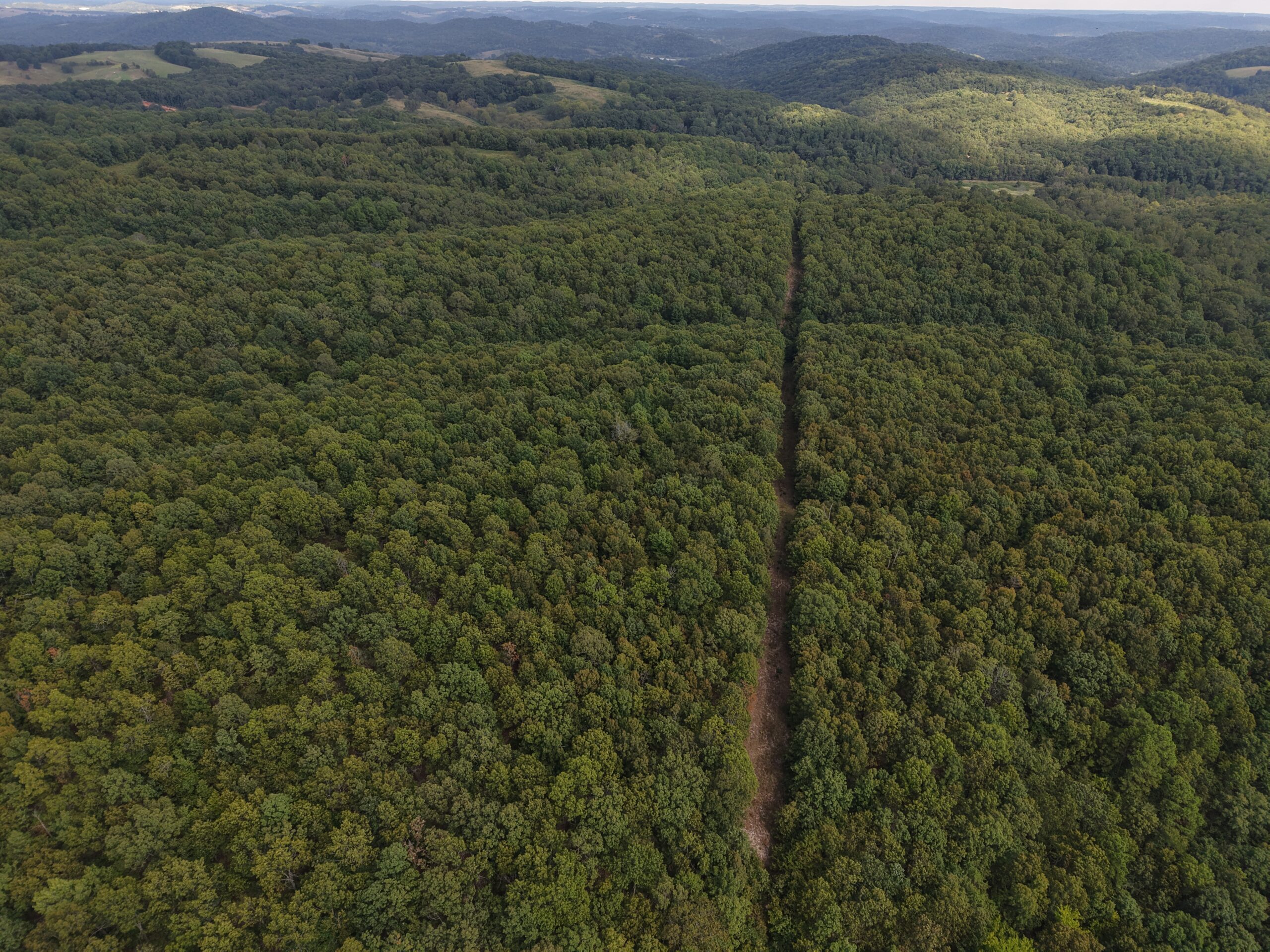 HUNTING AND RECREATIONAL LAND FOR SALE IN OZARK MOUNTAINS
