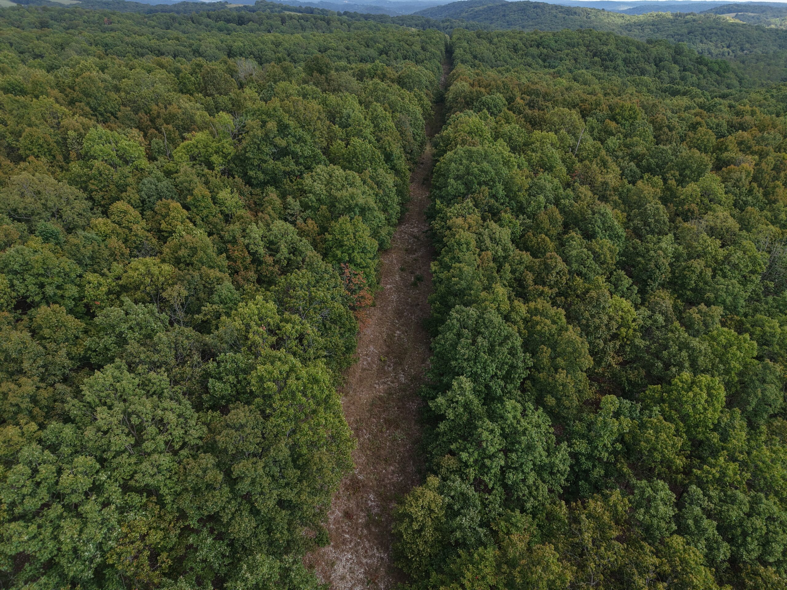 HUNTING AND RECREATIONAL LAND FOR SALE IN OZARK MOUNTAINS