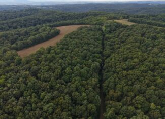 HUNTING AND RECREATIONAL LAND FOR SALE IN OZARK MOUNTAINS