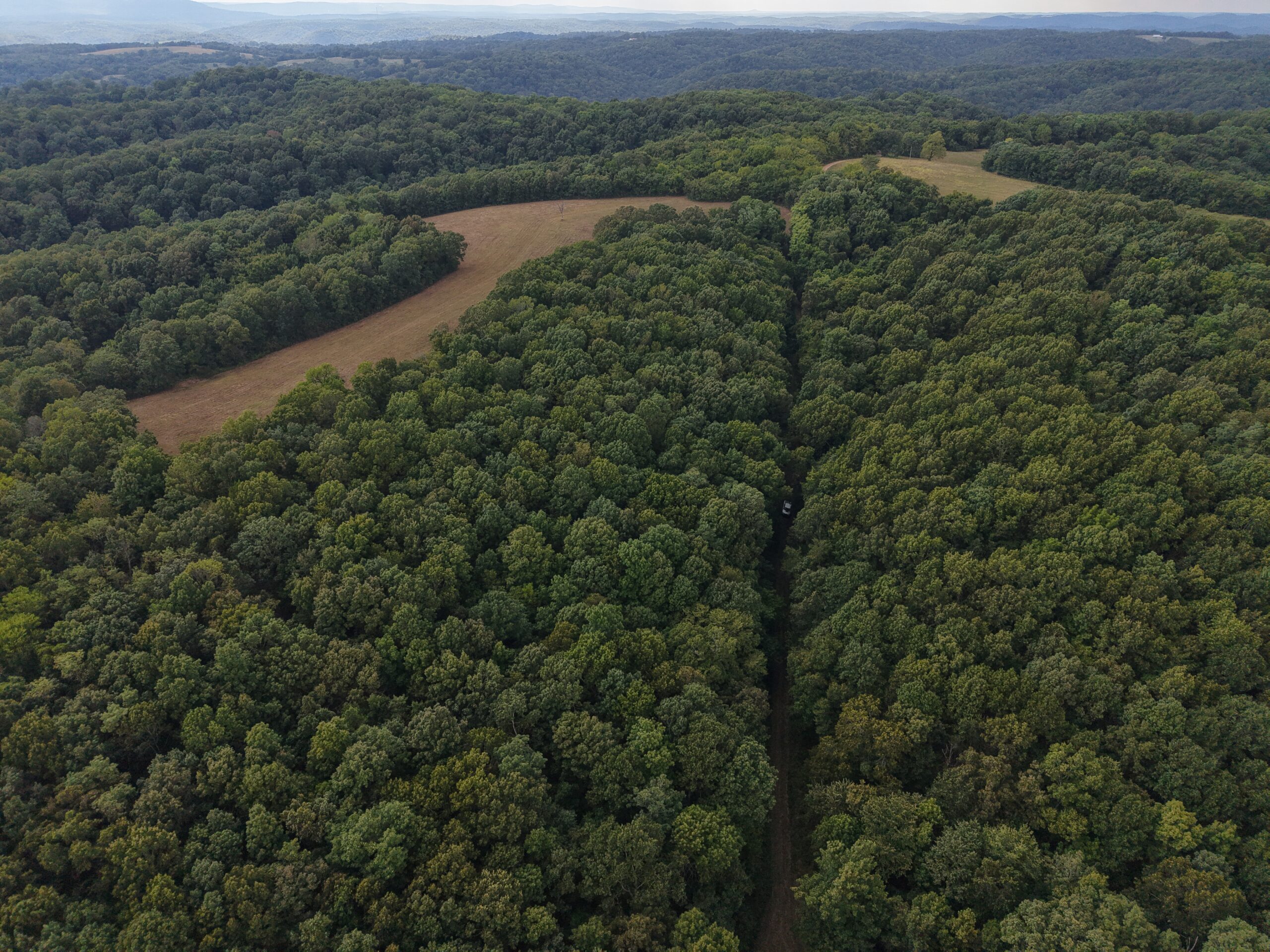 HUNTING AND RECREATIONAL LAND FOR SALE IN OZARK MOUNTAINS