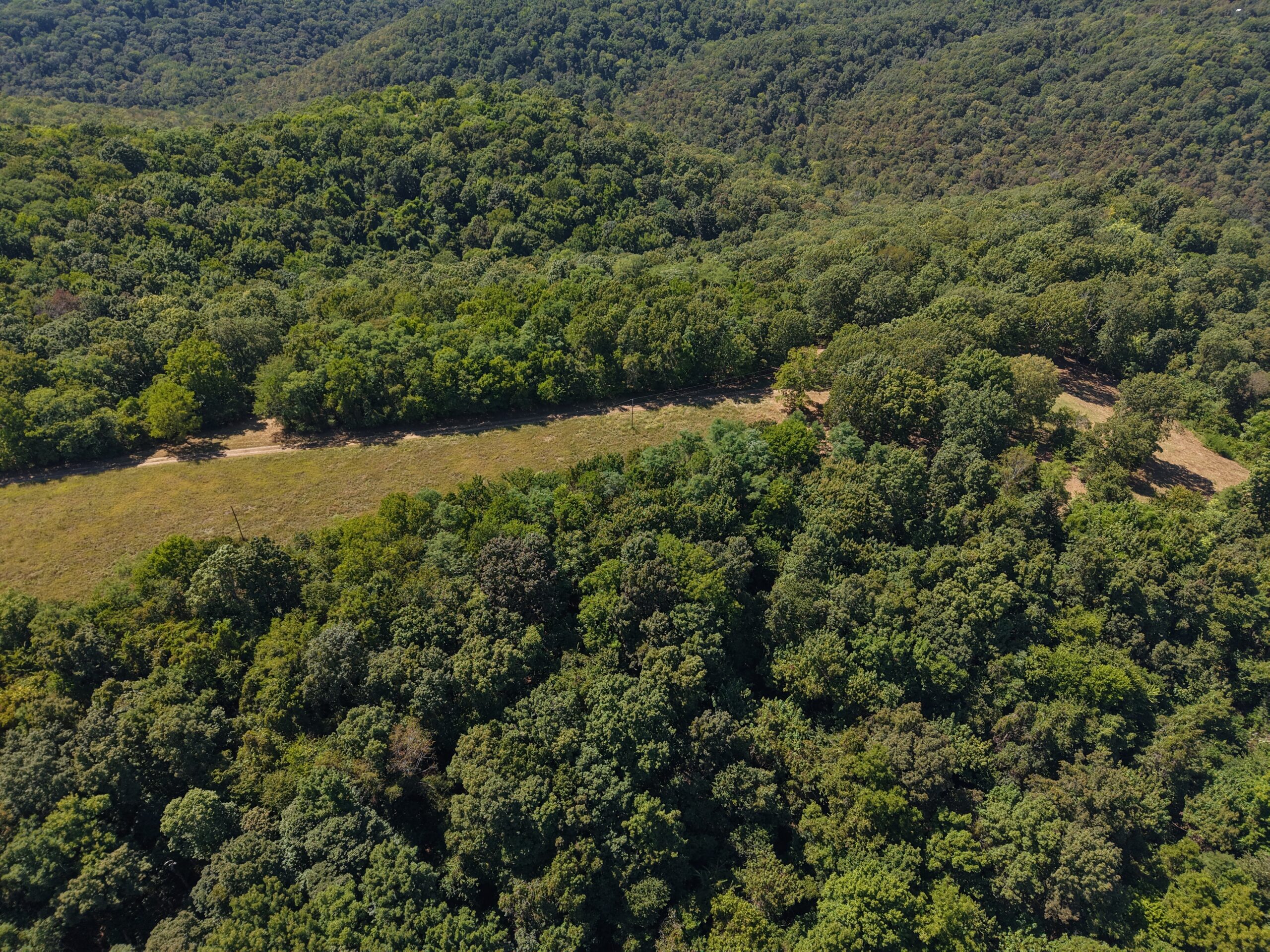 COUNTRY HOME AND HUNTING ACREAGE FOR SALE IN ARKANSAS OZARK MOUNTAINS