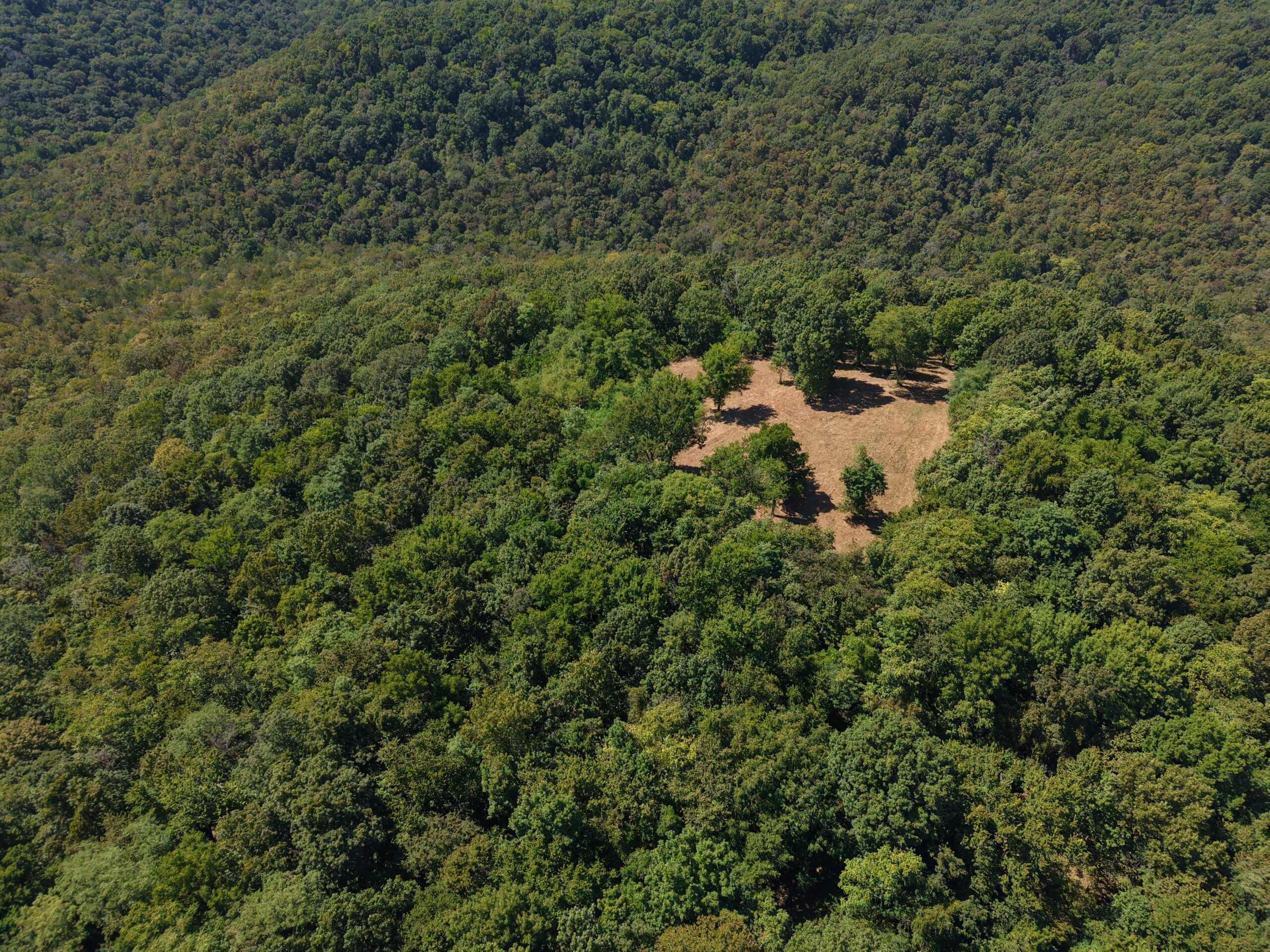 COUNTRY HOME AND HUNTING ACREAGE FOR SALE IN ARKANSAS OZARK MOUNTAINS