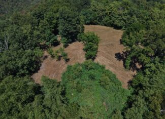 COUNTRY HOME AND HUNTING ACREAGE FOR SALE IN ARKANSAS OZARK MOUNTAINS