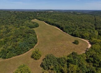 COUNTRY HOME AND HUNTING ACREAGE FOR SALE IN ARKANSAS OZARK MOUNTAINS