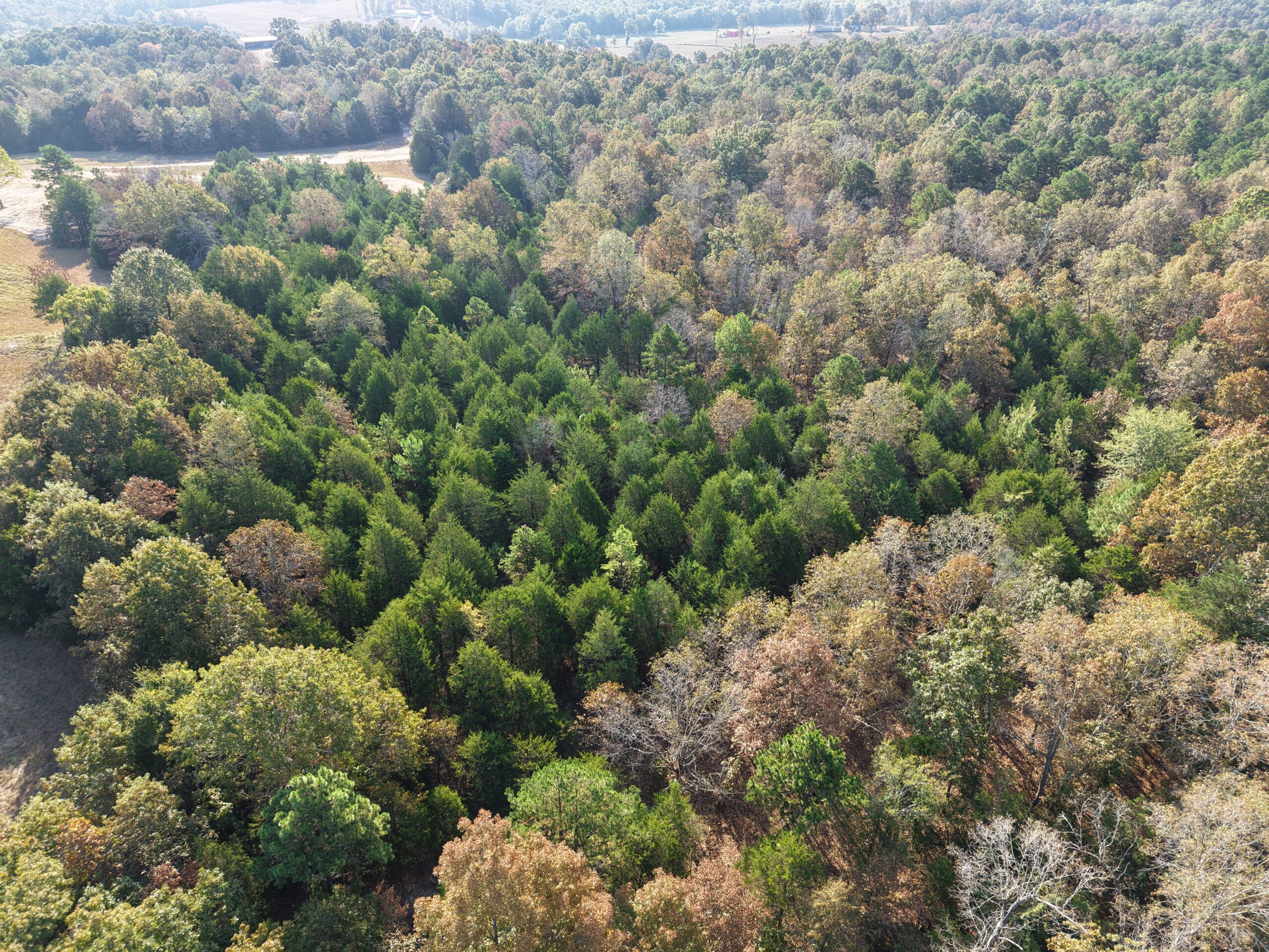HUNTING AND RECREATIONAL LAND FOR SALE IN NORTH CENTRAL ARKANSAS