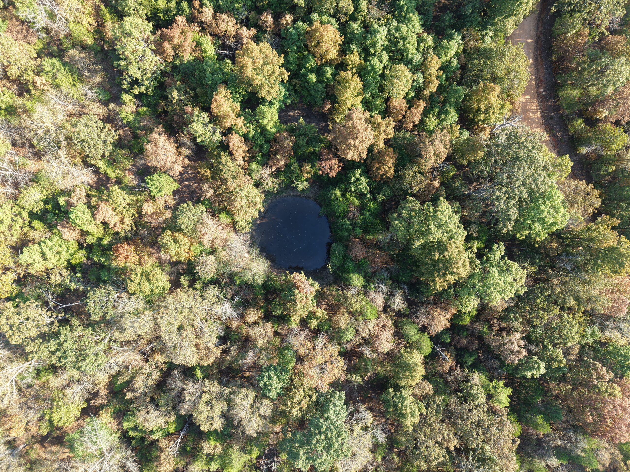 HUNTING AND RECREATIONAL LAND FOR SALE IN NORTH CENTRAL ARKANSAS