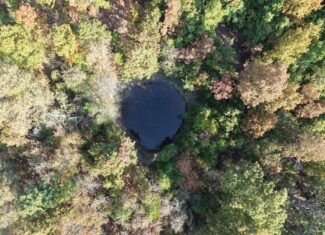 HUNTING AND RECREATIONAL LAND FOR SALE IN NORTH CENTRAL ARKANSAS