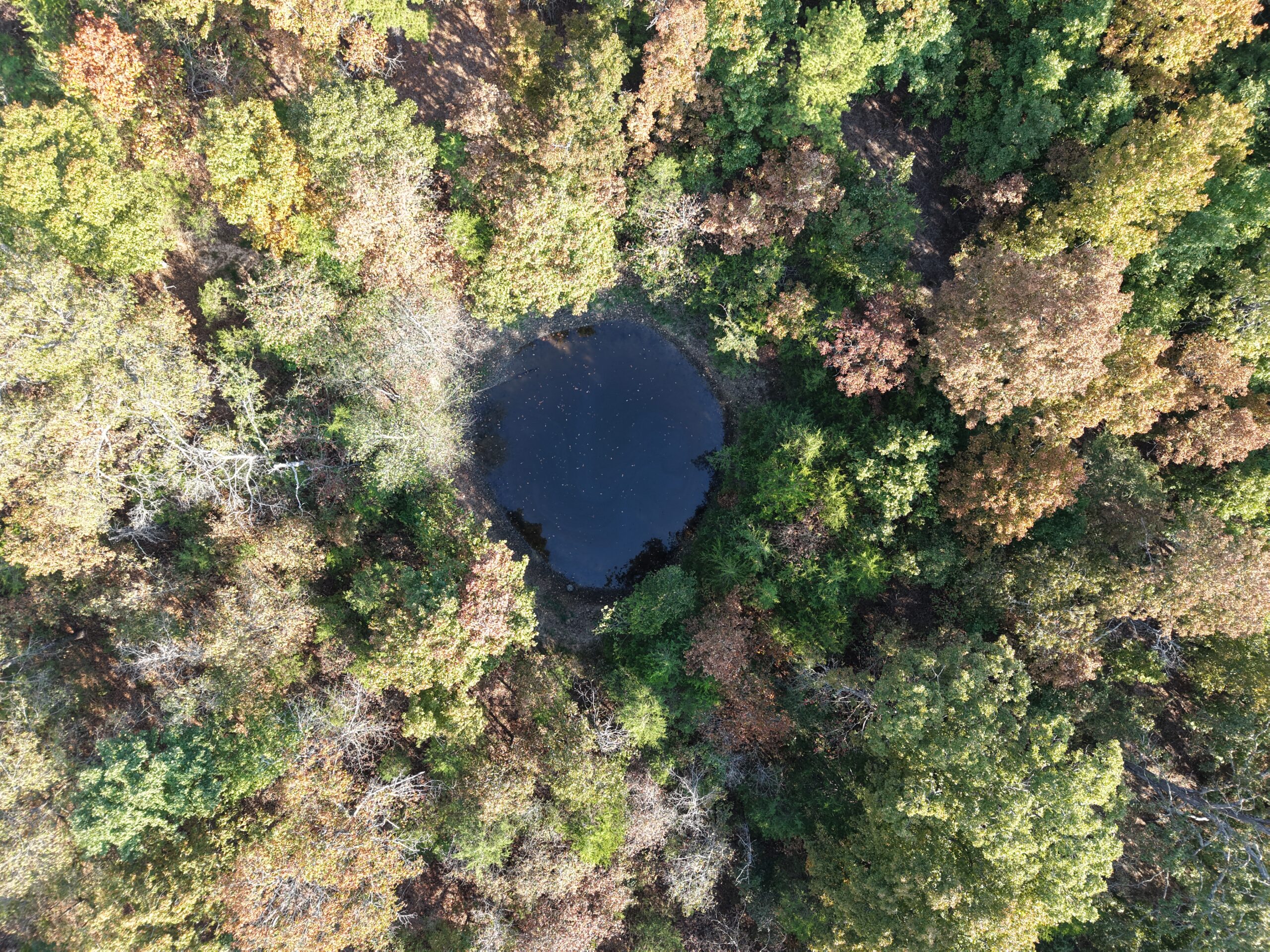 HUNTING AND RECREATIONAL LAND FOR SALE IN NORTH CENTRAL ARKANSAS