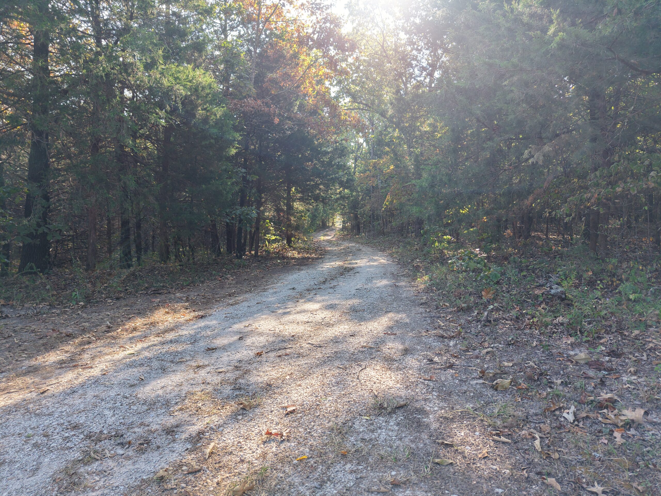 HUNTING AND RECREATIONAL LAND FOR SALE IN NORTH CENTRAL ARKANSAS