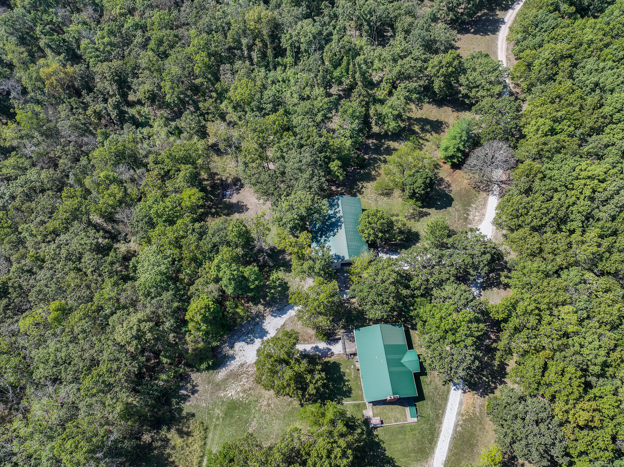 Home on 109+\- acres in Collins MO